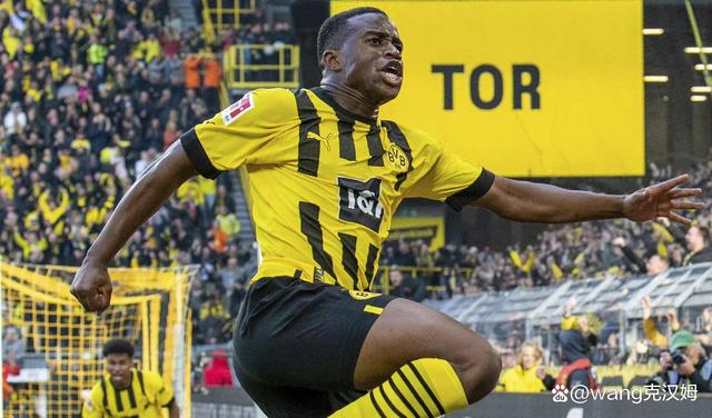 澳客网页版-关于沙尔克04输球不断,降级形势严峻的信息